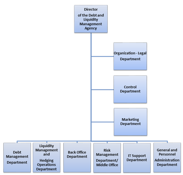 organization_structure